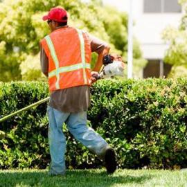 La revoca della sanzione del lavoro di pubblica utilità